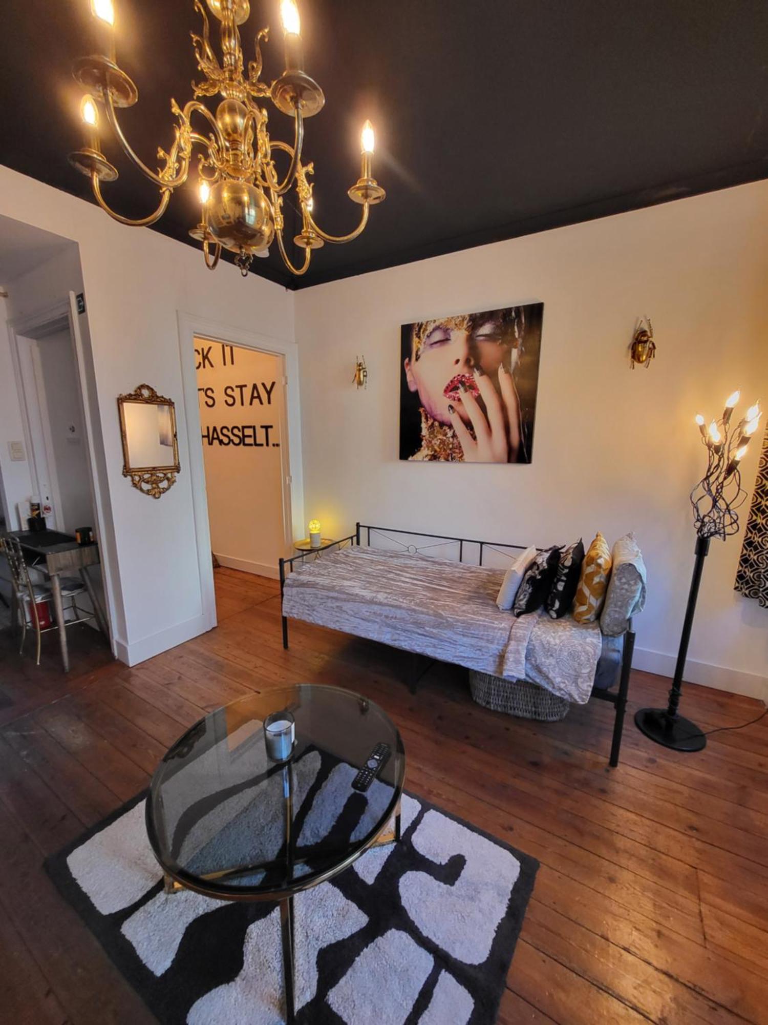 Ds39 - Sexy & Stylish Private Apartment With A Terrace In The Centre Of Hasselt For 1-8 People With Netflix Esterno foto